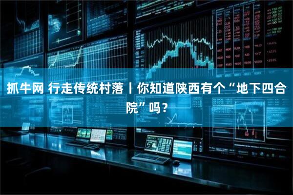 抓牛网 行走传统村落丨你知道陕西有个“地下四合院”吗？