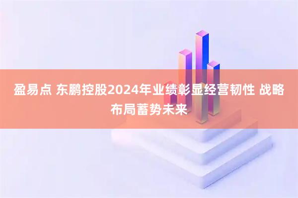 盈易点 东鹏控股2024年业绩彰显经营韧性 战略布局蓄势未来