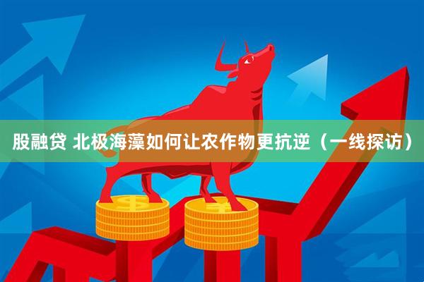 股融贷 北极海藻如何让农作物更抗逆（一线探访）