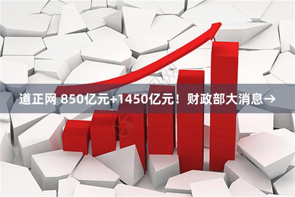 道正网 850亿元+1450亿元！财政部大消息→