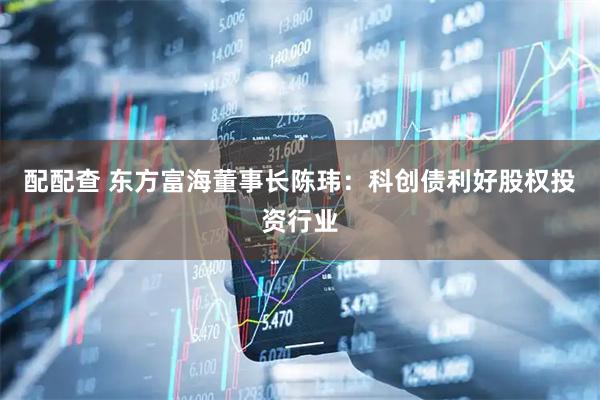 配配查 东方富海董事长陈玮：科创债利好股权投资行业