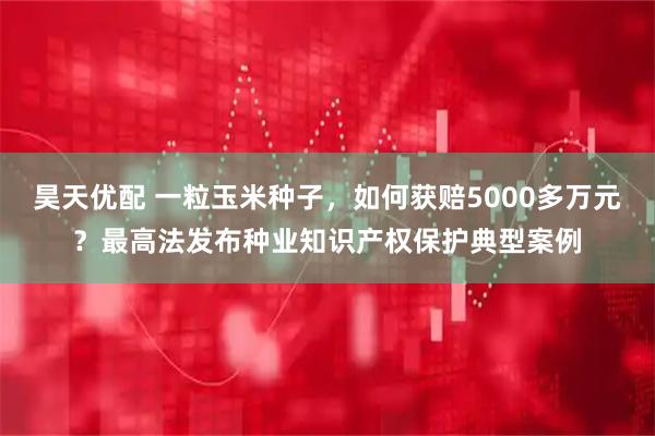 昊天优配 一粒玉米种子，如何获赔5000多万元？最高法发布种业知识产权保护典型案例