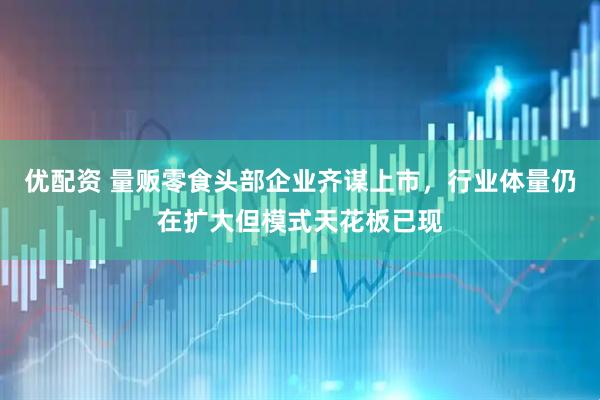 优配资 量贩零食头部企业齐谋上市，行业体量仍在扩大但模式天花板已现