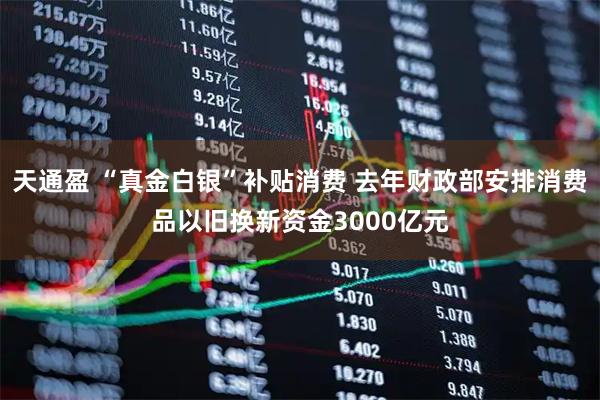 天通盈 “真金白银”补贴消费 去年财政部安排消费品以旧换新资金3000亿元