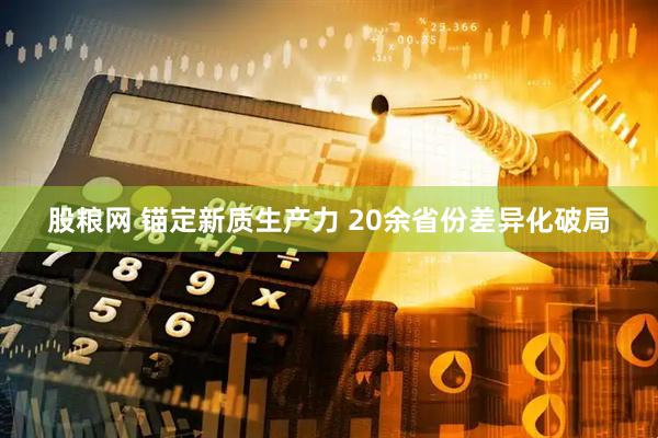股粮网 锚定新质生产力 20余省份差异化破局