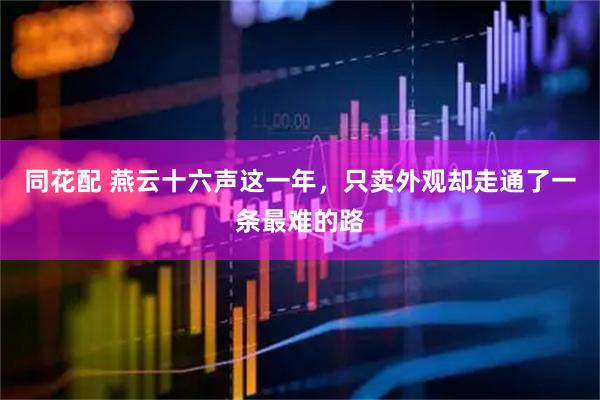 同花配 燕云十六声这一年，只卖外观却走通了一条最难的路