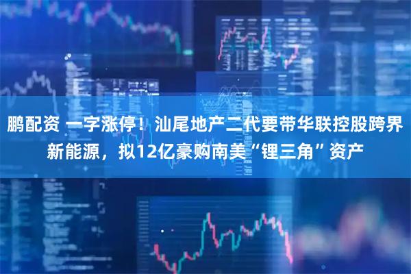 鹏配资 一字涨停！汕尾地产二代要带华联控股跨界新能源，拟12亿豪购南美“锂三角”资产