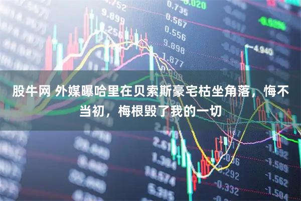 股牛网 外媒曝哈里在贝索斯豪宅枯坐角落，悔不当初，梅根毁了我的一切