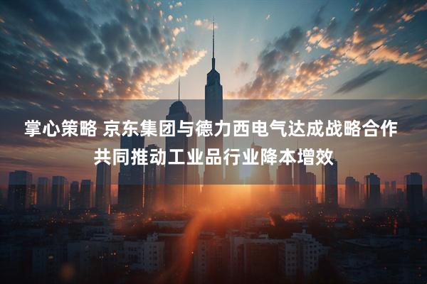 掌心策略 京东集团与德力西电气达成战略合作 共同推动工业品行业降本增效